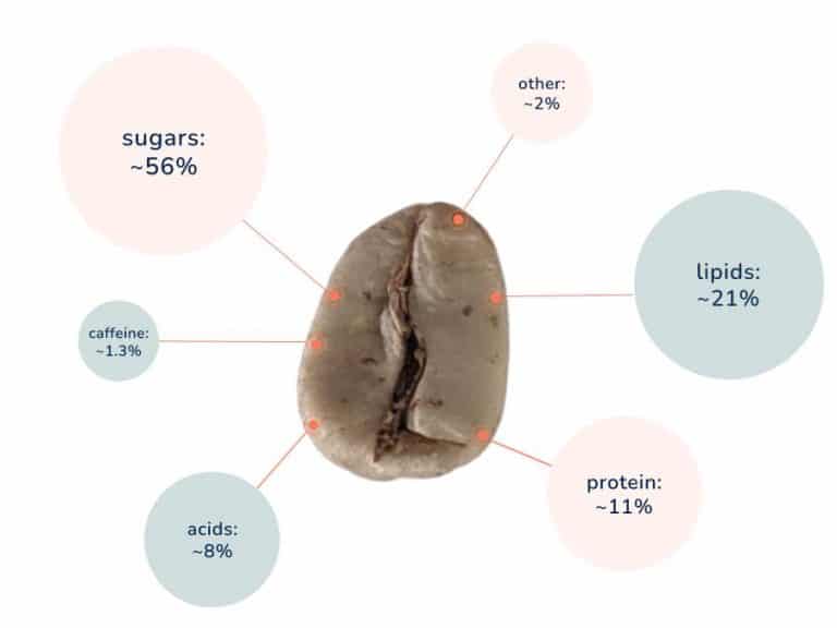 Oily Coffee Beans This Is The REAL Reason