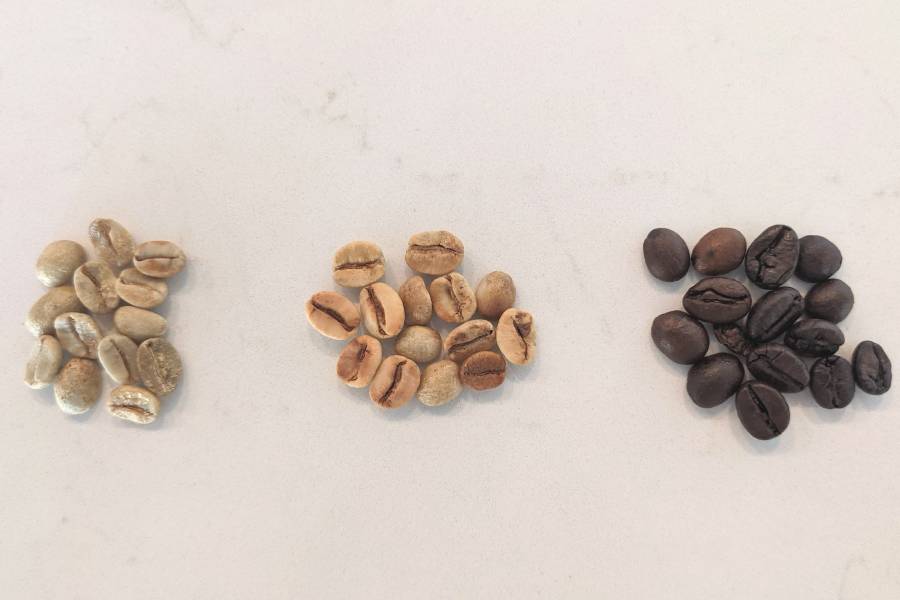 Roasted coffee beans