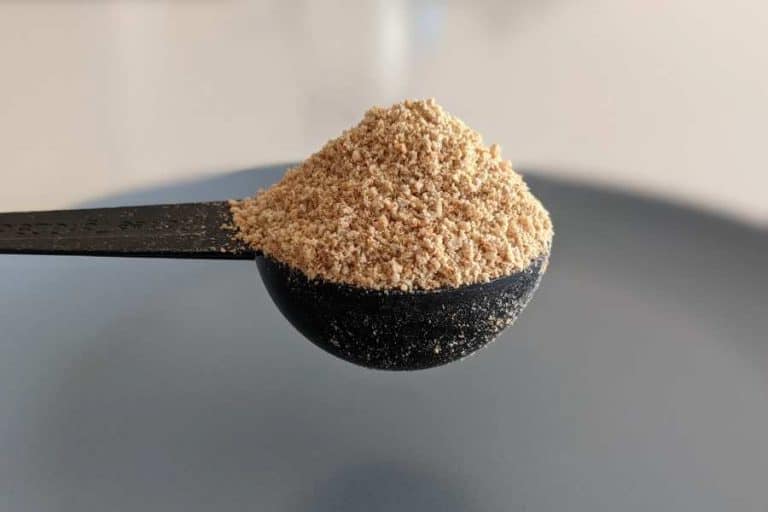 Dutch Bros White Coffee Drinks What Is It Really?