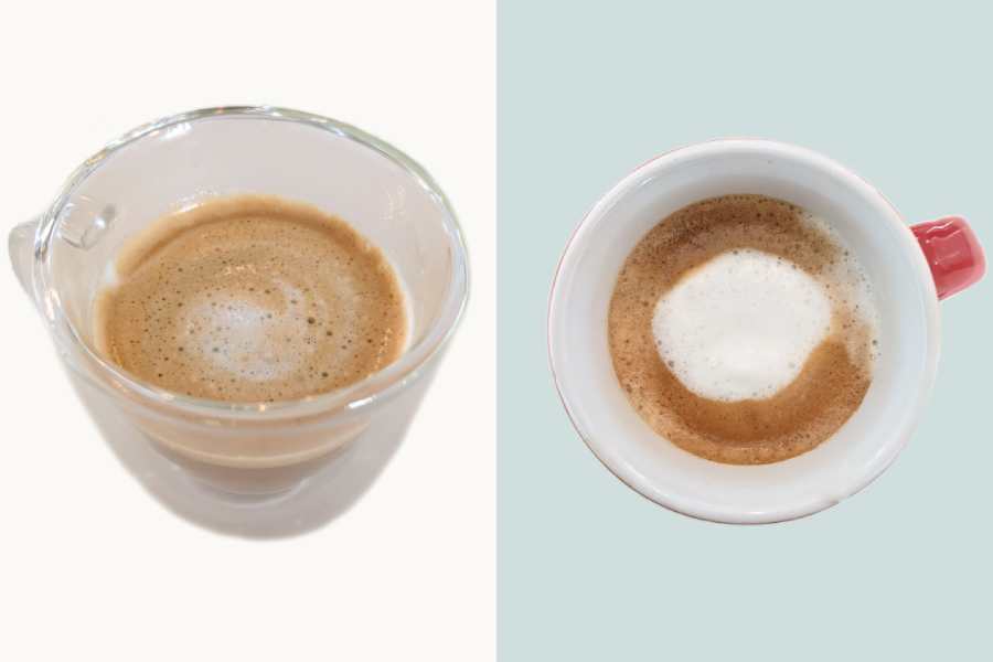 Macchiato vs Cortado Top