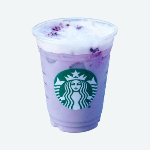 Violet Drink Starbucks