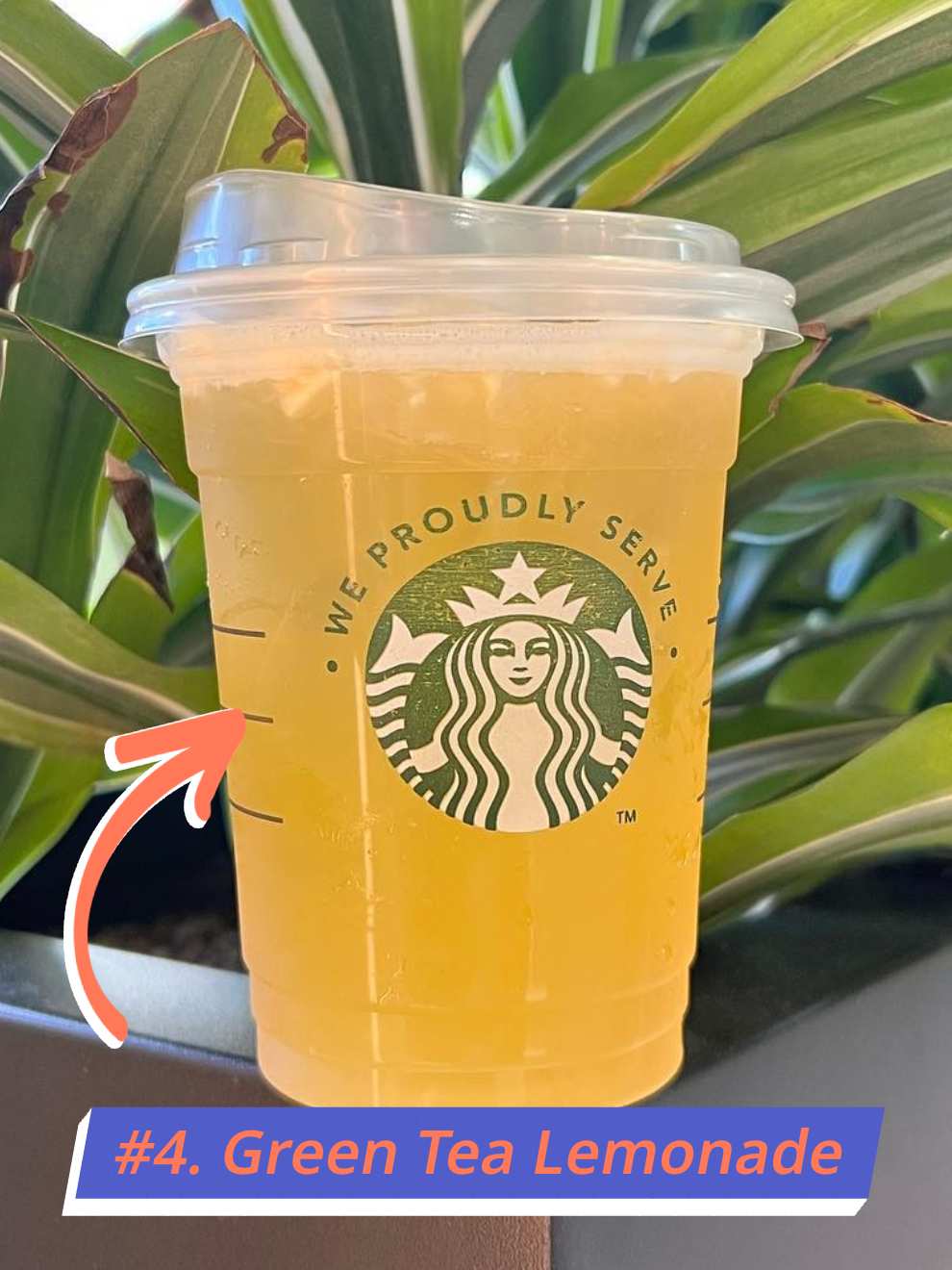 Starbucks Green Tea Lemonade