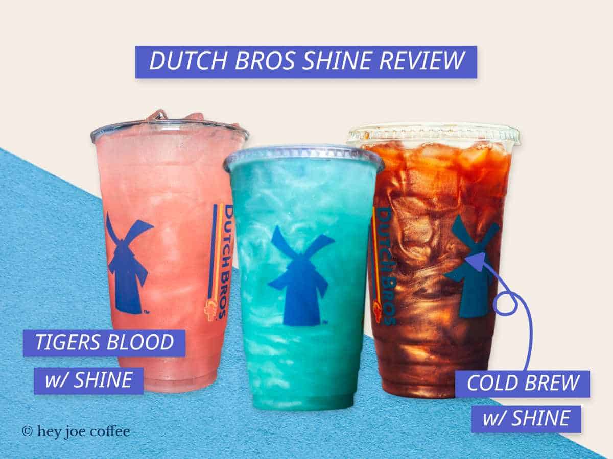 Dutch Bros Shine Review
