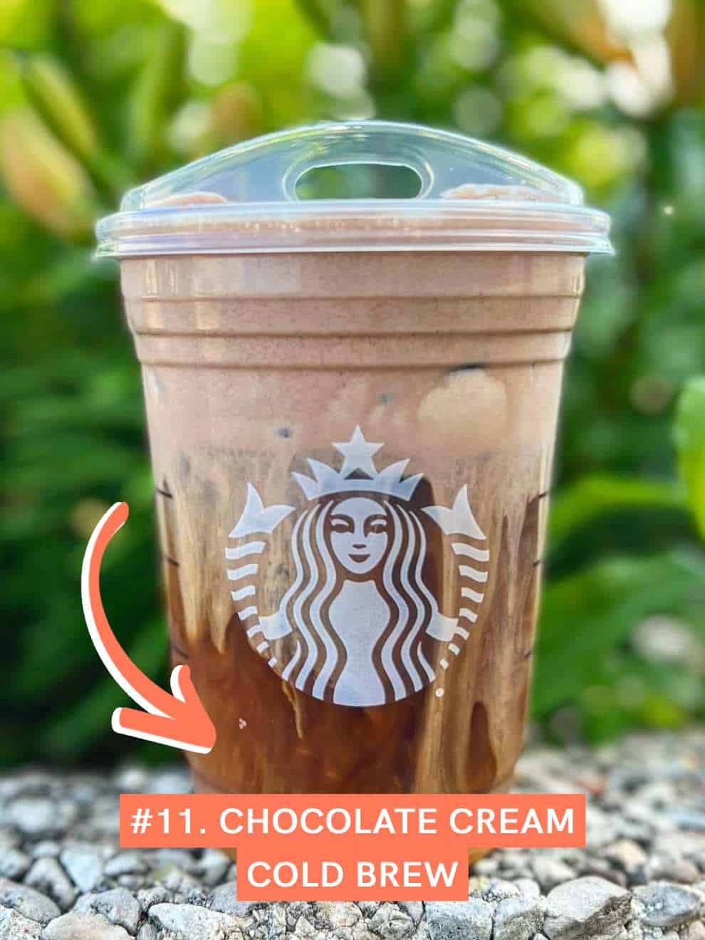 Chocolate Cream Cold Brew