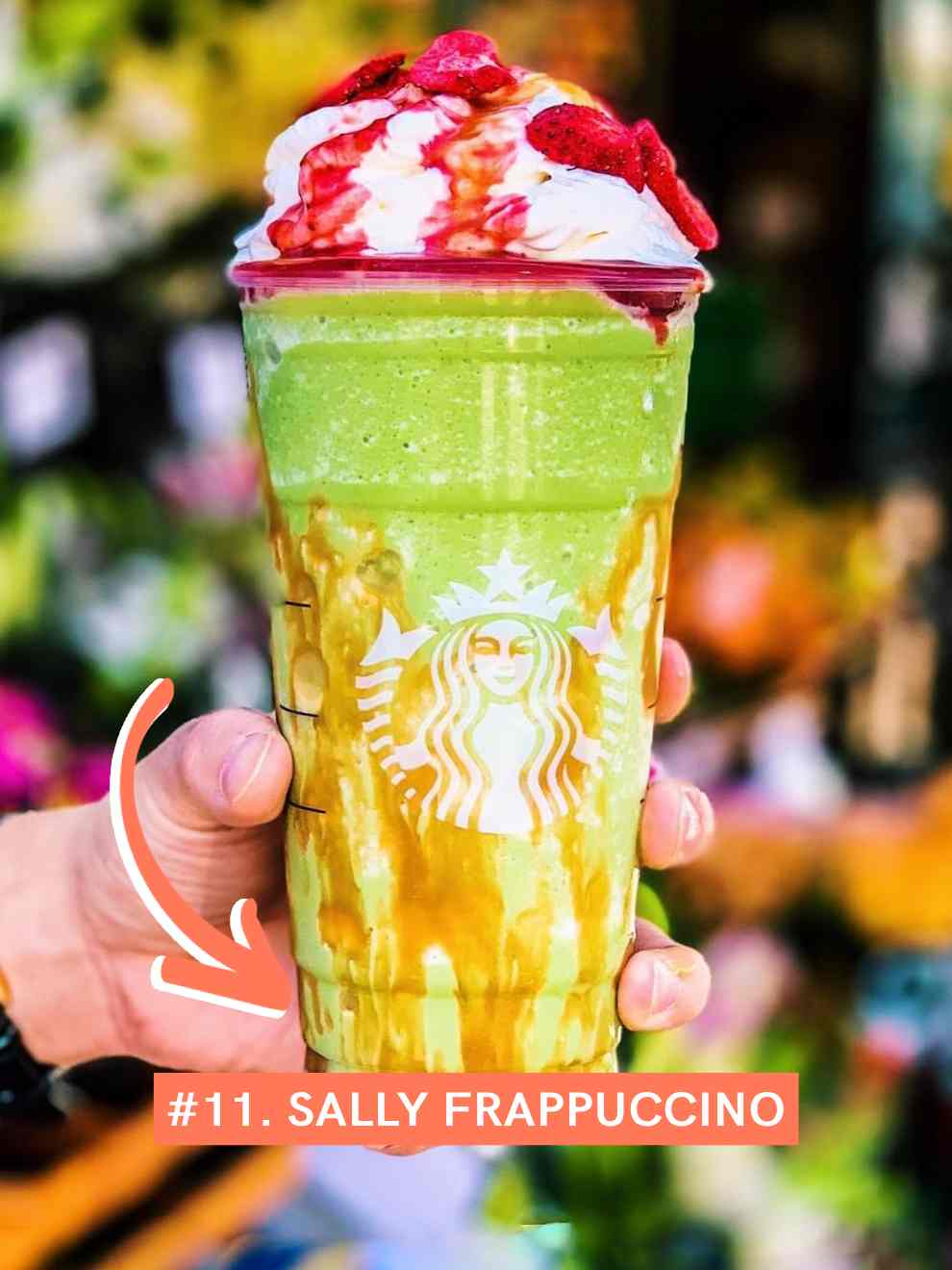Sally Frappuccino
