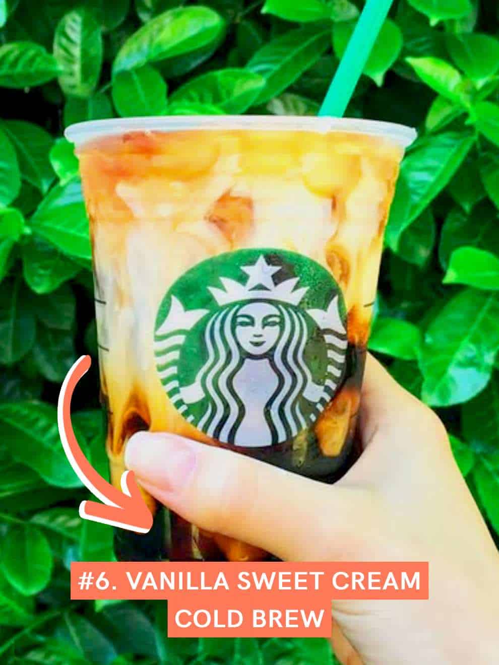 Vanilla Sweet Cream Cold Brew