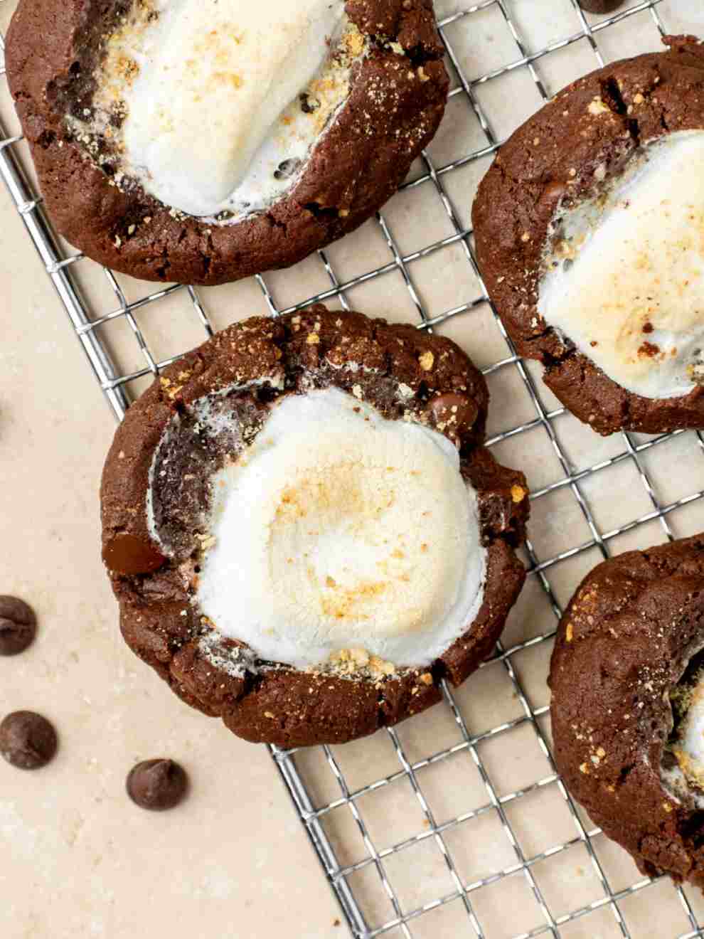 Chocolate S'mores Cookies